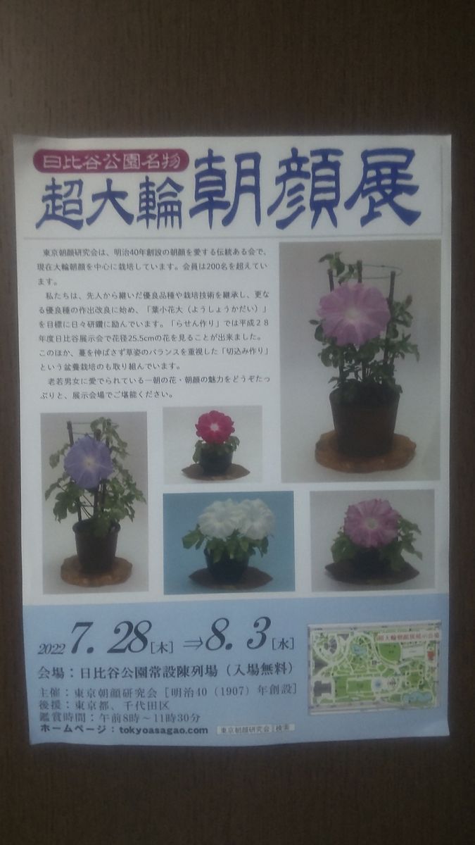 朝顔・変化朝顔展示会