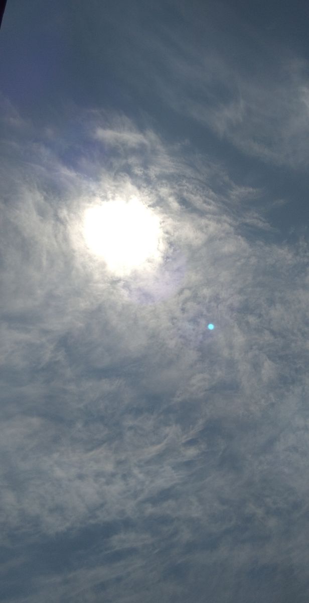 バラと空　クロコスミアと春明菊