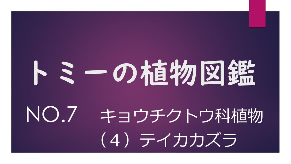 トミー植物図鑑　N0.7【テイカカズラ】#29