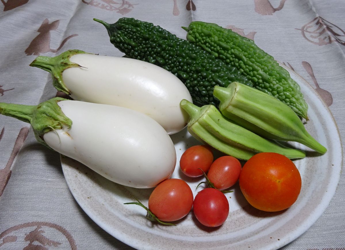 昨日の夕飯（ナス）