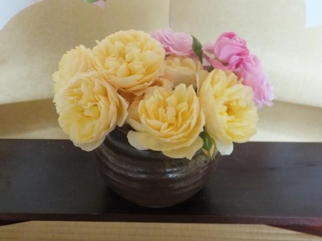 今日の薔薇　2