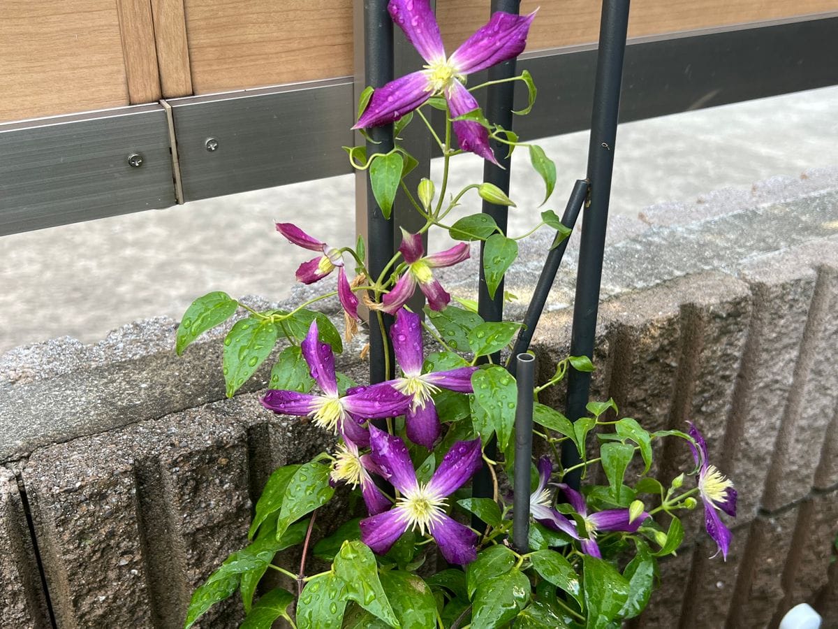 今日もありがとう🌸🌼🌺❤️