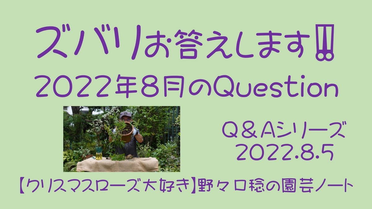 YouTube【ズバリお答えします‼️ 2022年8月のQuestion】