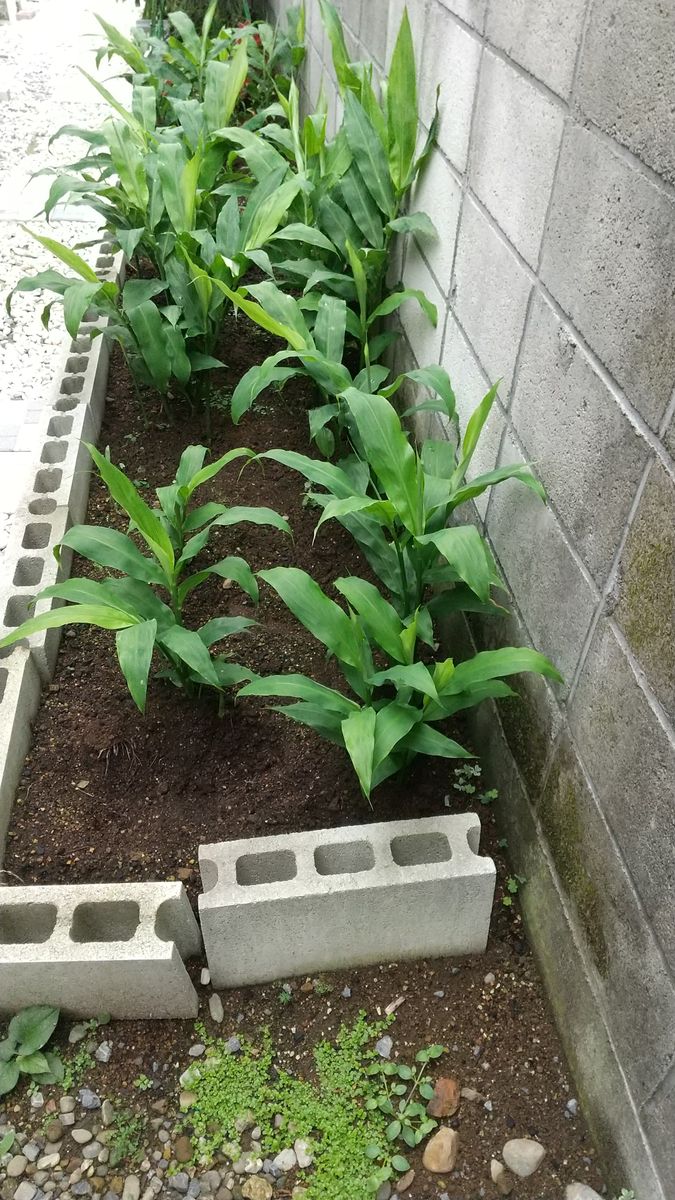 幸せの☔️が降りました💓