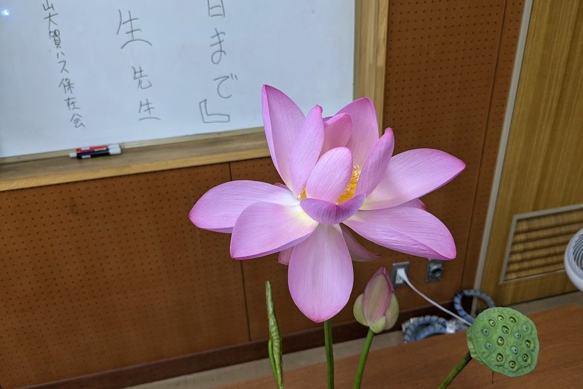 ボツ救済日記・植物園に行って来ました１４9（観蓮会編）