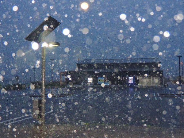 台風の雨