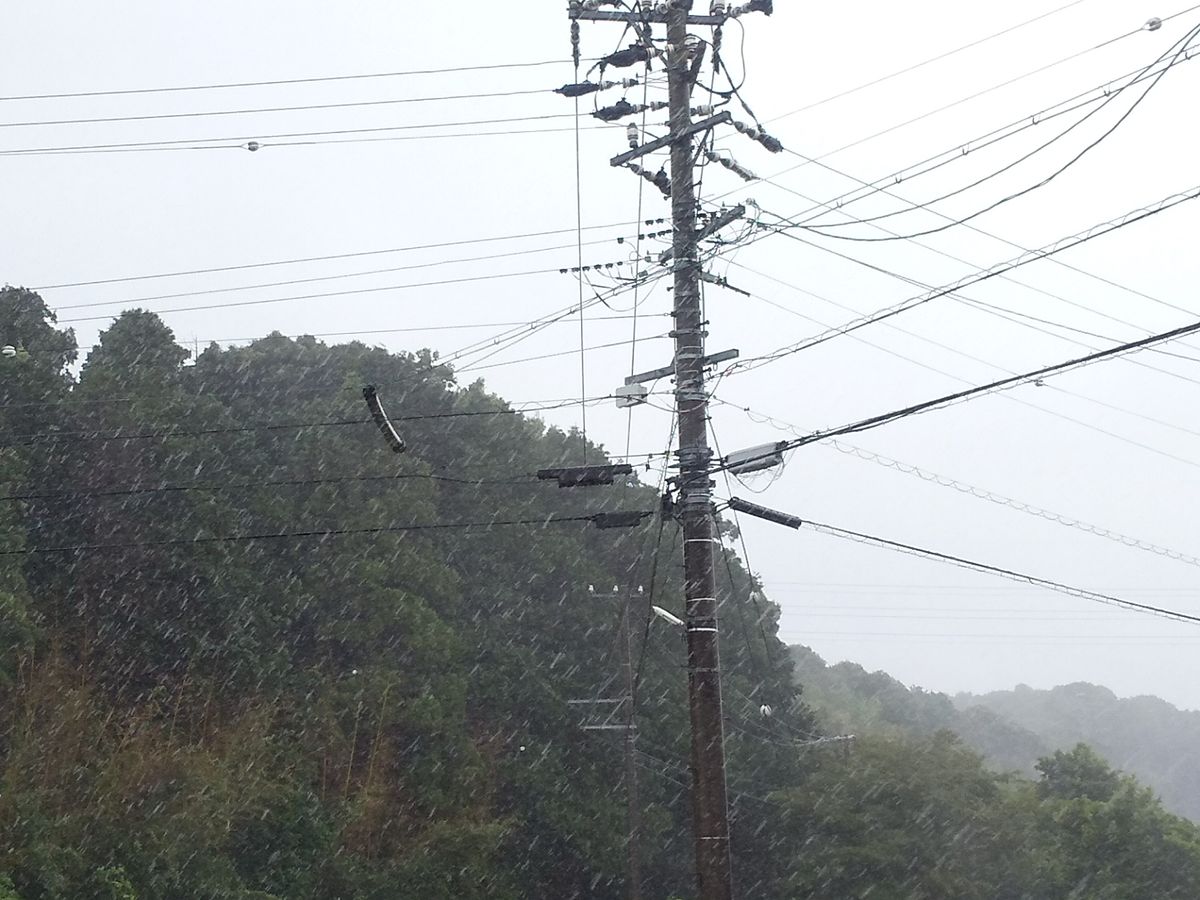 台風🌀８号。嘘だぁ〜風強し❗❗❗