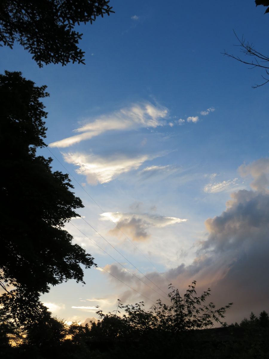 アンパンマン・夏の目標・夕焼け空