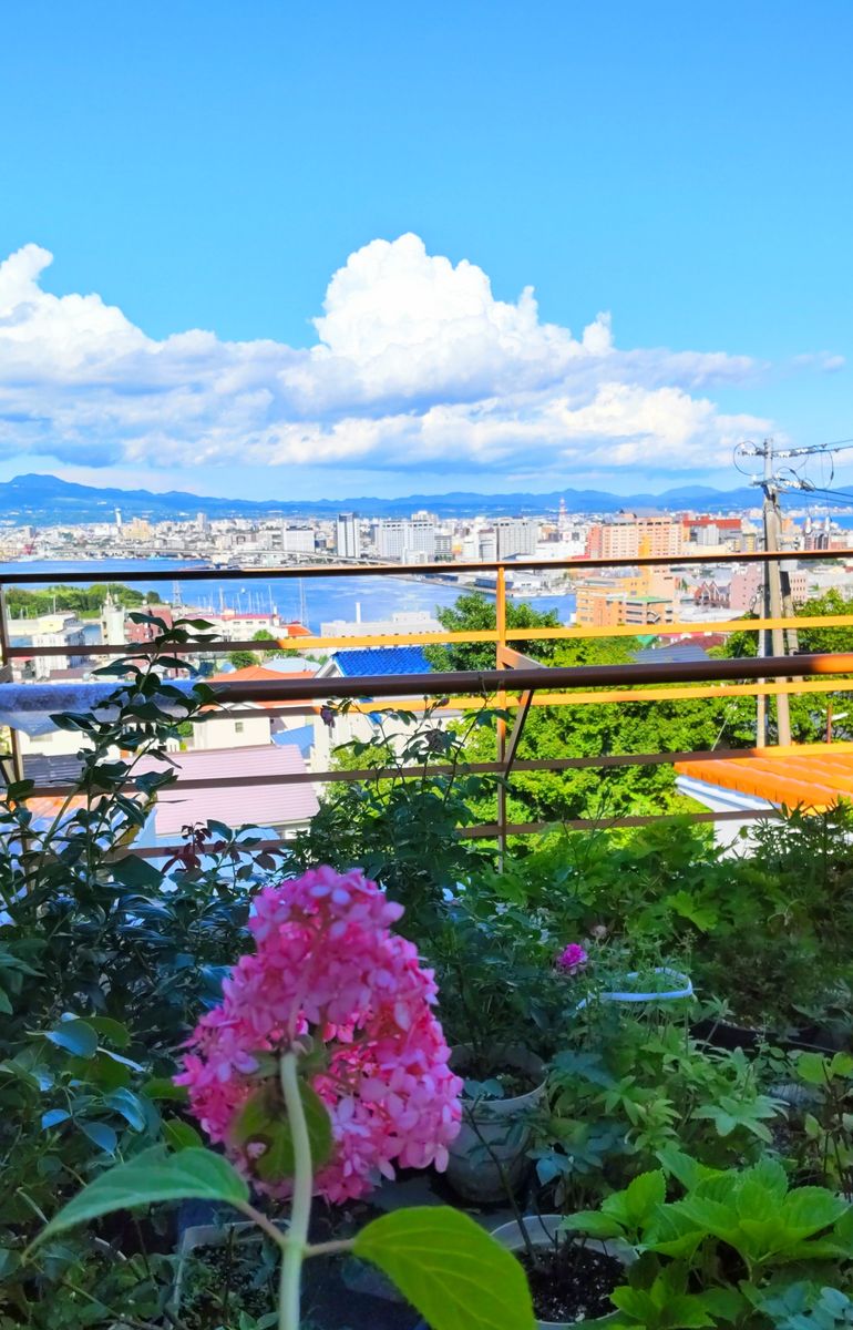 青空の入道雲と花