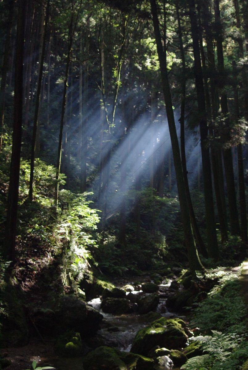 越生　黒山三滝