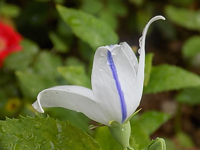 雨の日は