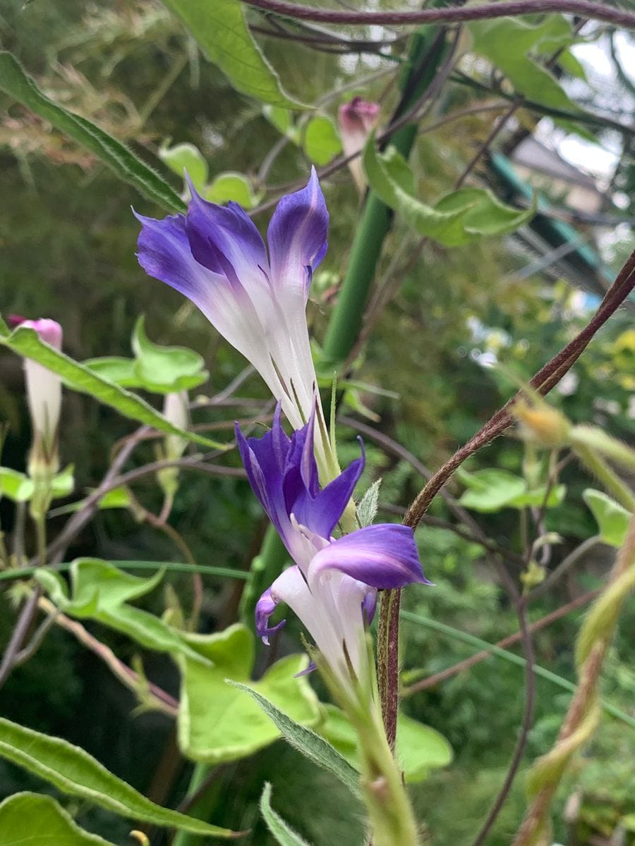 天気が悪くても！