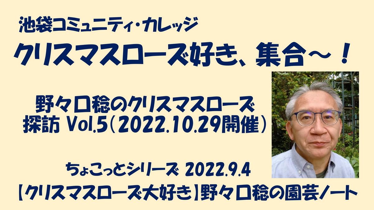 クリスマスローズ好き、集合～‼️（野々口稔のクリスマスローズの探訪Vol.5