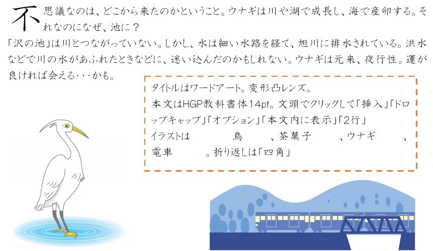 （Ｗ）後楽園の池にウナギ？‼