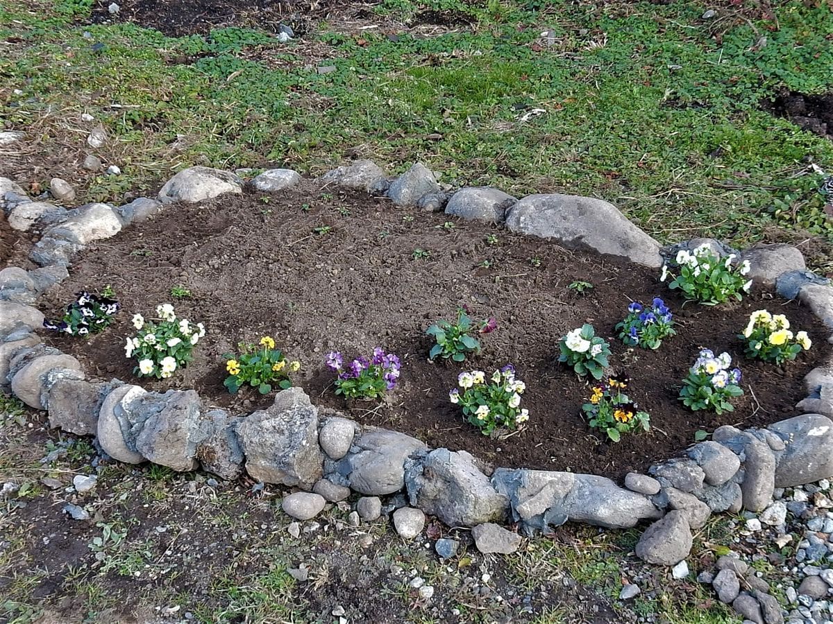 庭に石で囲い花壇を作っています この花壇の用土について教 園芸相談q A みんなの趣味の園芸
