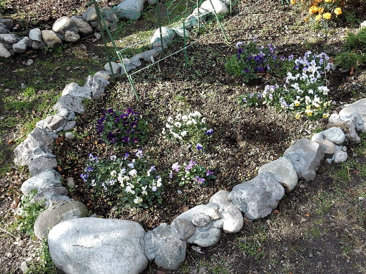 庭に石で囲い花壇を作っています この花壇の用土について教 園芸相談q A みんなの趣味の園芸