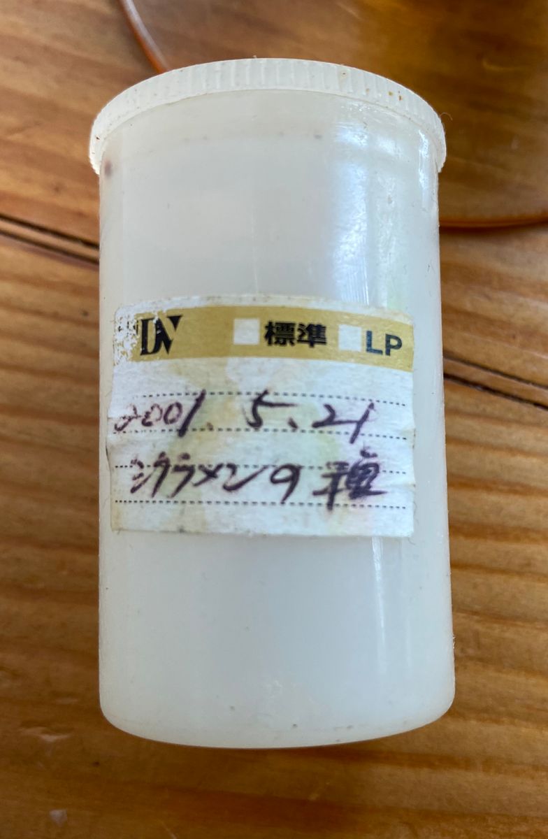 金子先生に教えていただきたいのですが2001年5月21日に自...