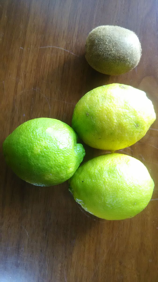 レモン育て！取りたてレモンを楽しむ。 2018．12 レモンの収穫3個です。