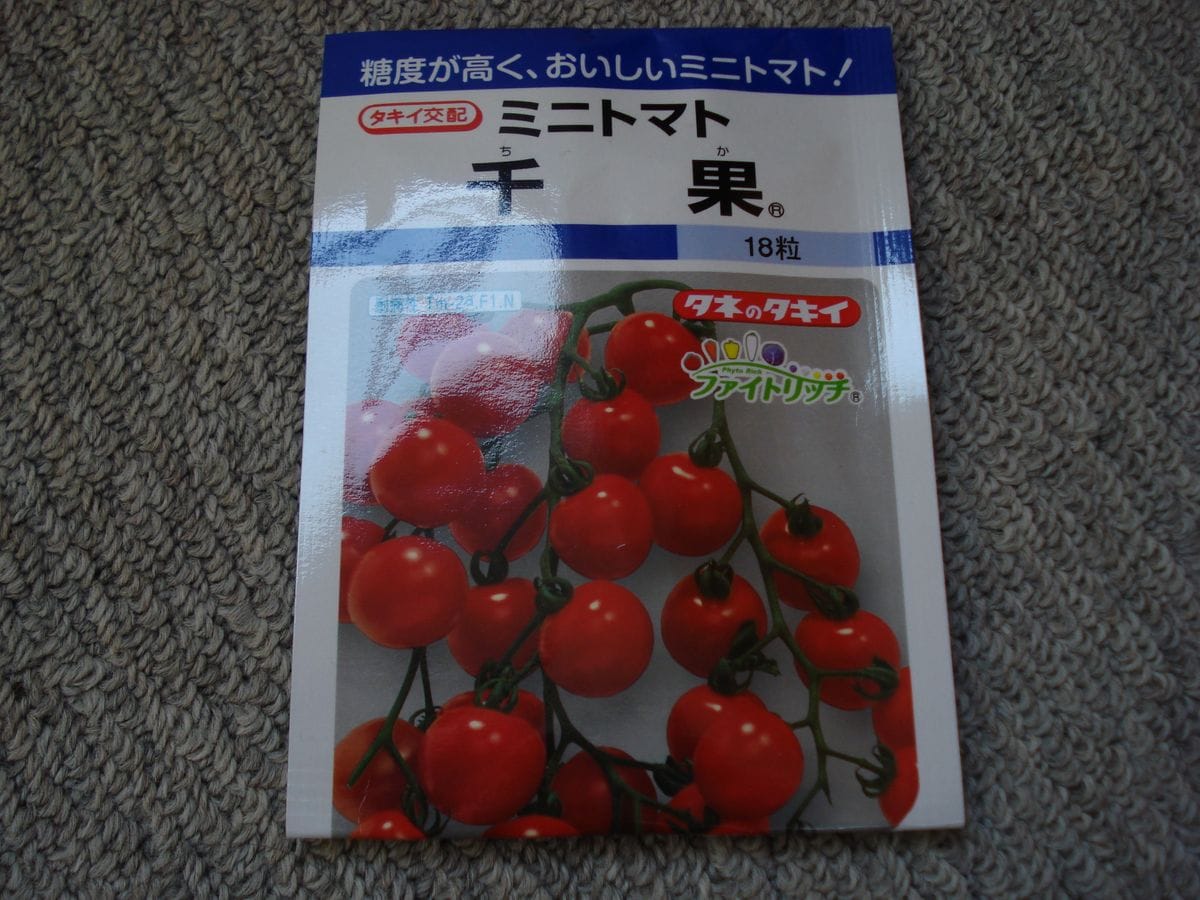 2018年　初見でミニトマト　千果の種まき😊