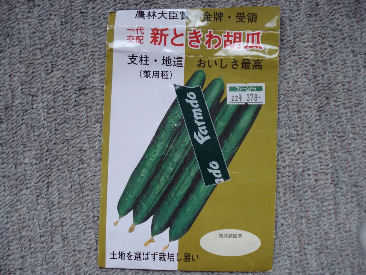 農林大臣賞のキュウリを育てる✨