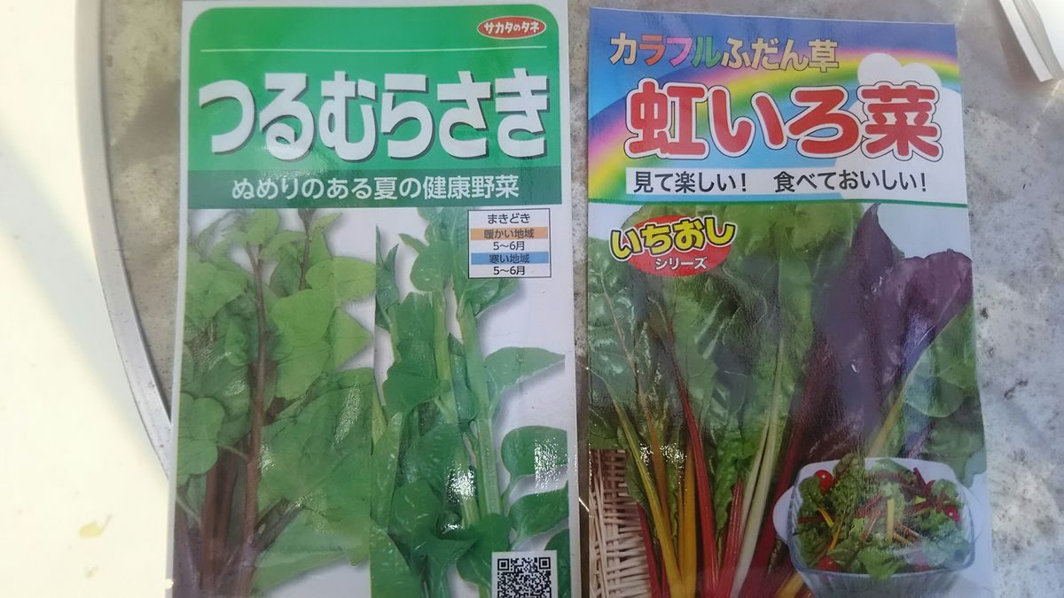 ツルムラサキ、虹色草🌿