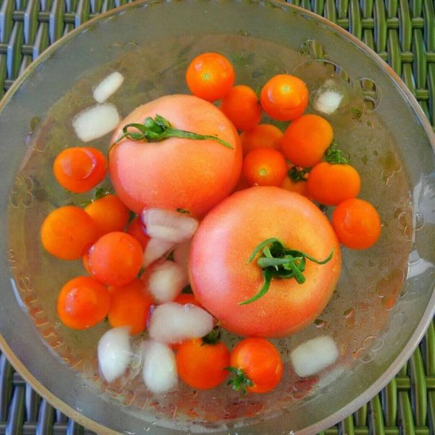 ３種のトマト