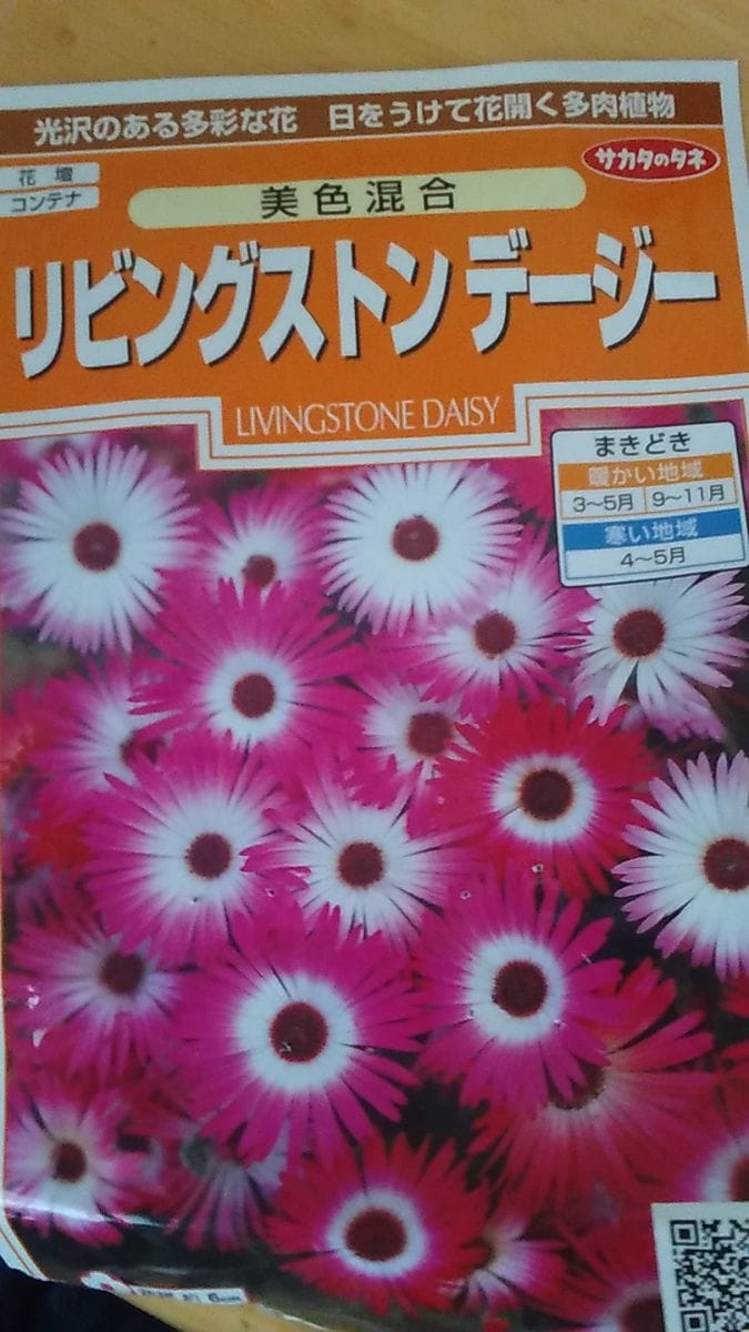 2021人気の 種 花たね リビングストンデージー混合 1袋 150mg