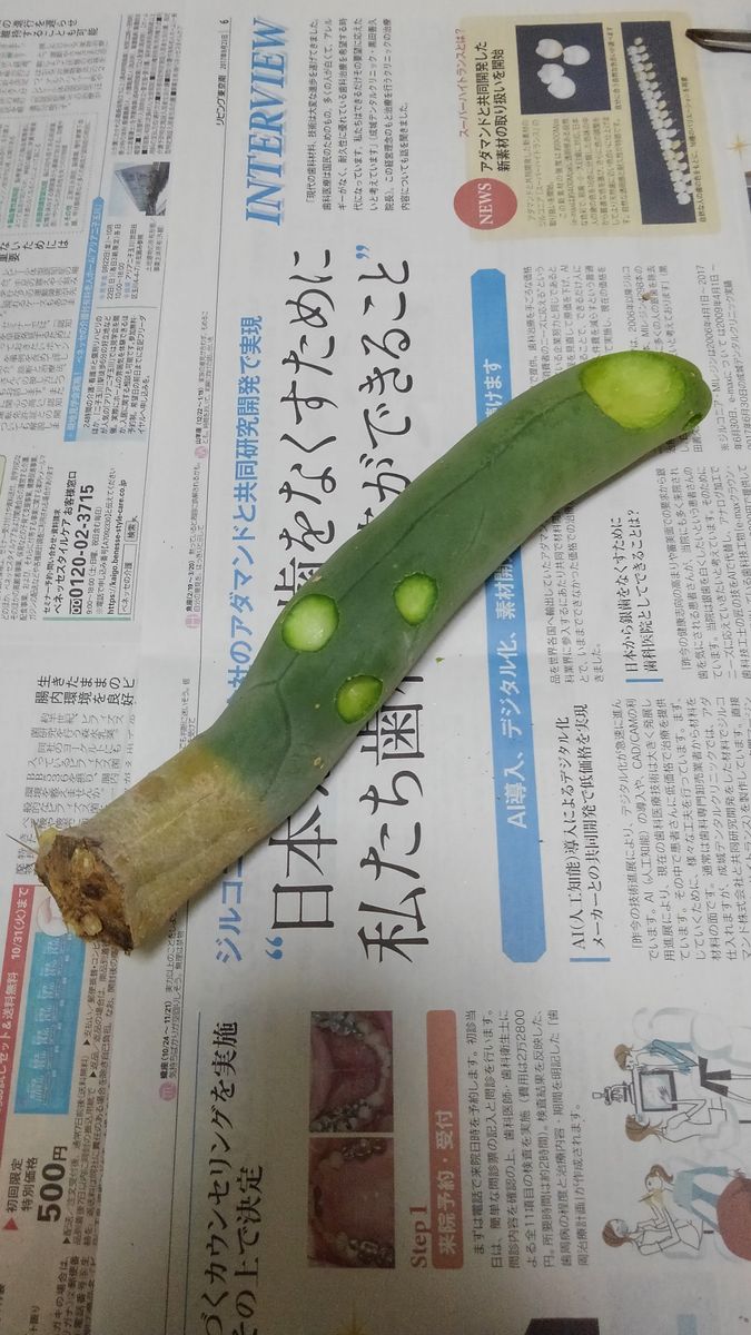 なるほど柱　奮闘す 緊急オペ3