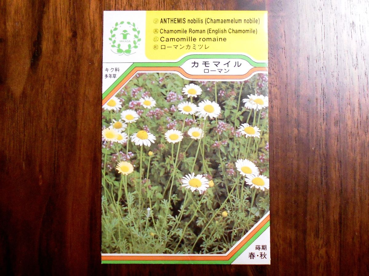 ローマンカモミールを種から ハーブ栽培 そだレポ 栽培レポート Byfitofilo みんなの趣味の園芸