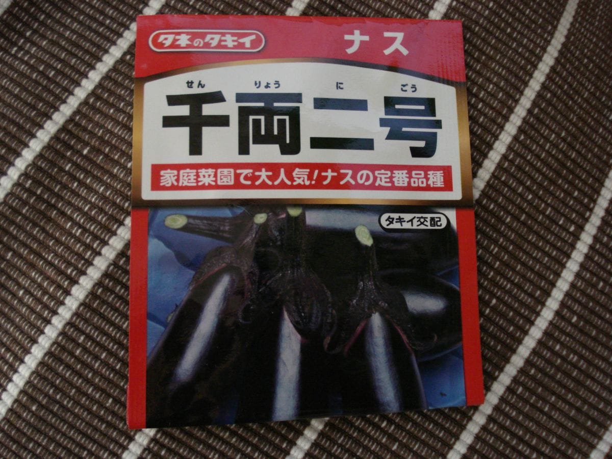 🍆の千両二号種まき2年目（前編）