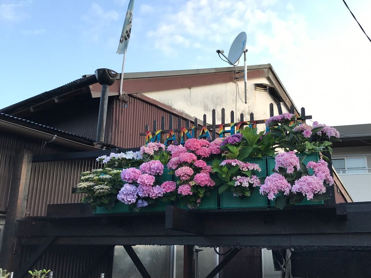 天空のマナ畑でアジサイ園(о´∀`о) 雨あがりのアジサイ達♪( ´▽｀)