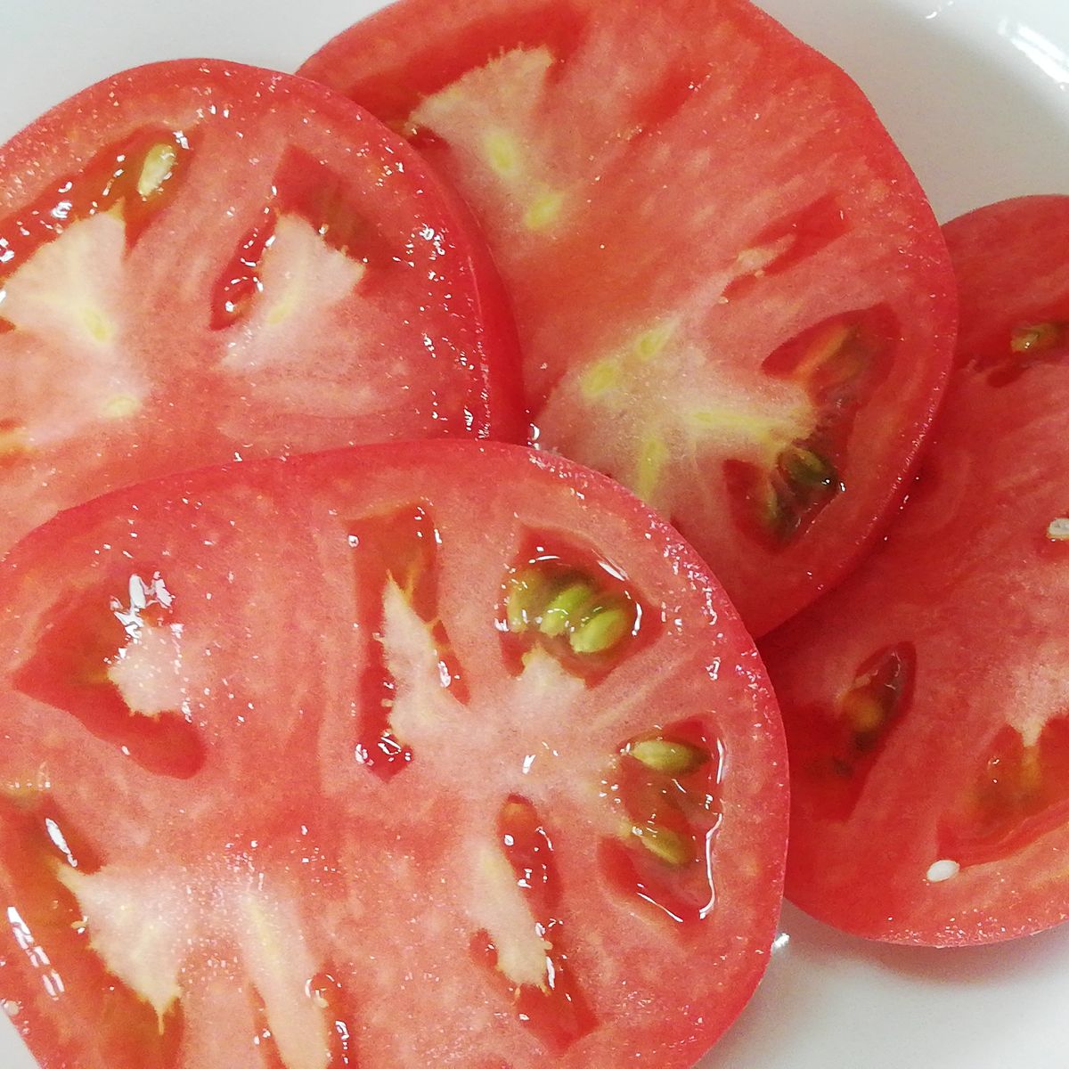 桃太郎🍅種から水耕栽培 初収穫🍅切ってみました