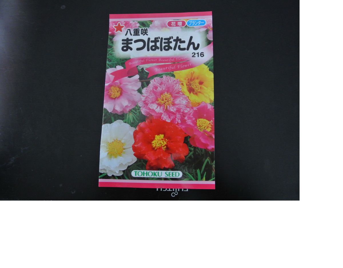 「真夏の暑さに負けずに咲き誇るまつばぼたん満開を目指します！」 まつばぼたんタネ袋