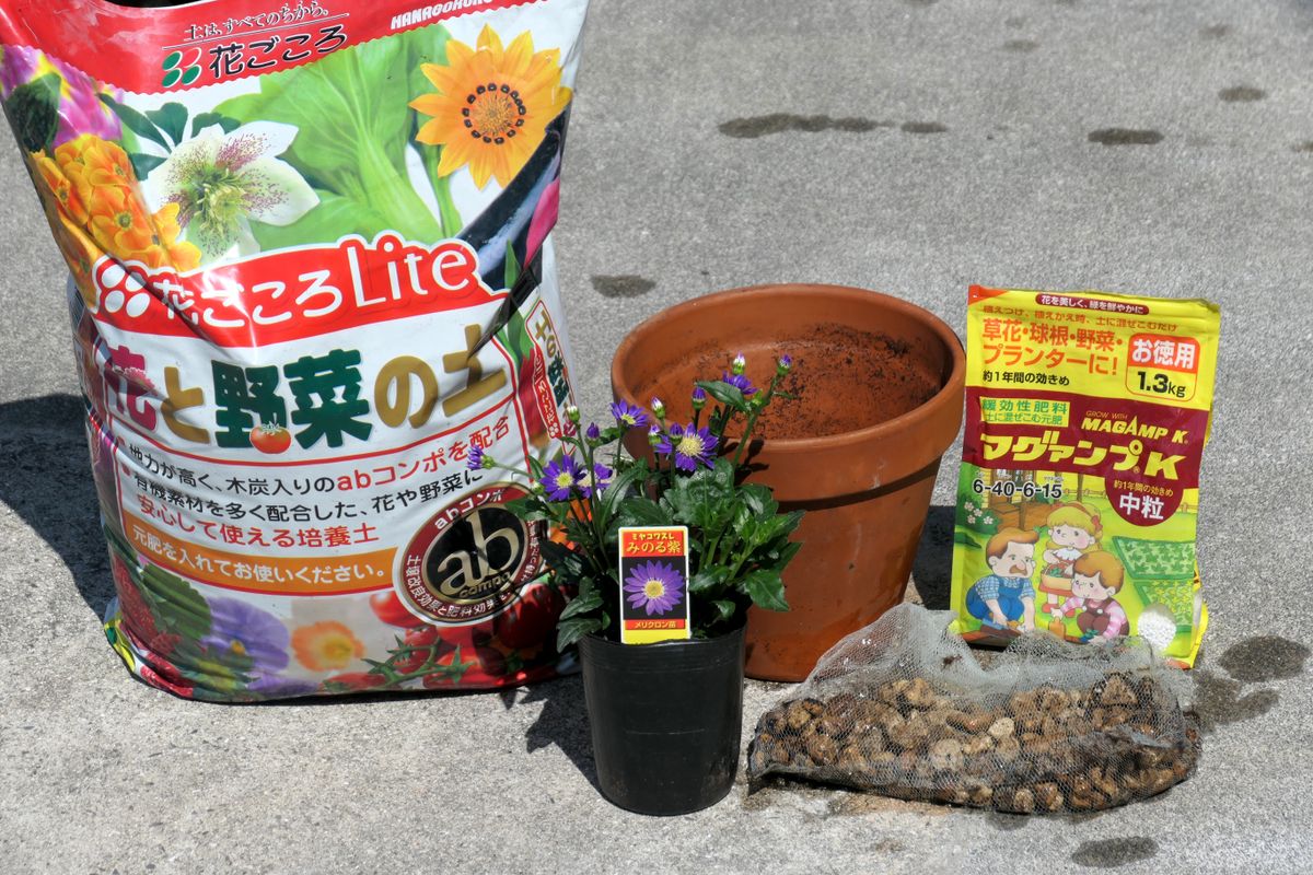 妻がくれたミヤコワスレ 植え付けの準備です