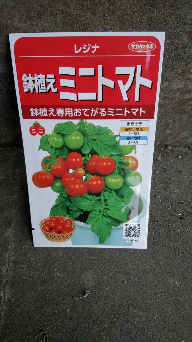ミニトマトレジナの収穫を目指して そだレポ 栽培レポート Byなこぽち みんなの趣味の園芸