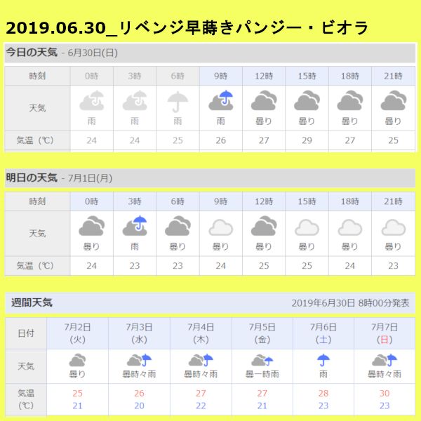 【完】2019年　リベンジ早蒔きパンジー・ビオラ① 天気予報の確認(6/30)