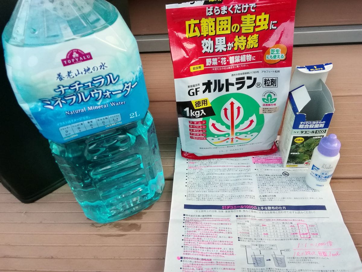 受け継いだ60年以上の万年青 用意するもの