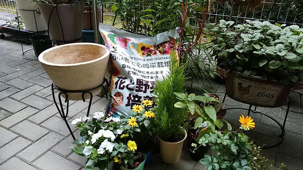 課題  夏の寄せ植え💮 花材・用土