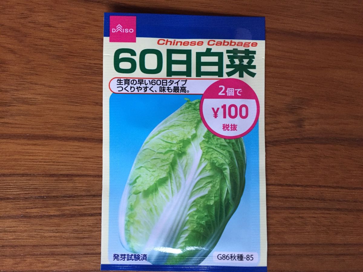 ダイソー 60日白菜