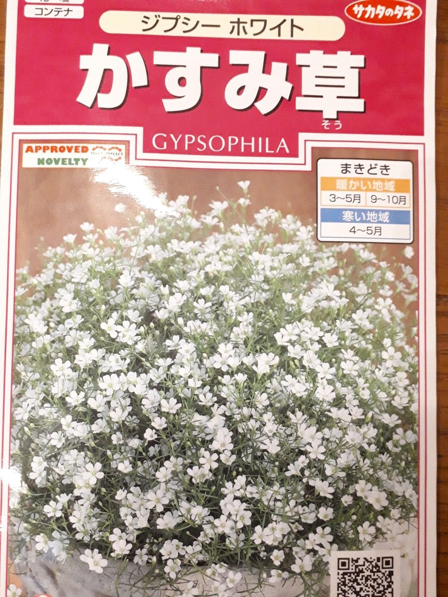 小さなかすみ草 ジプシーホワイトを種から そだレポ 栽培レポート By春が好き みんなの趣味の園芸