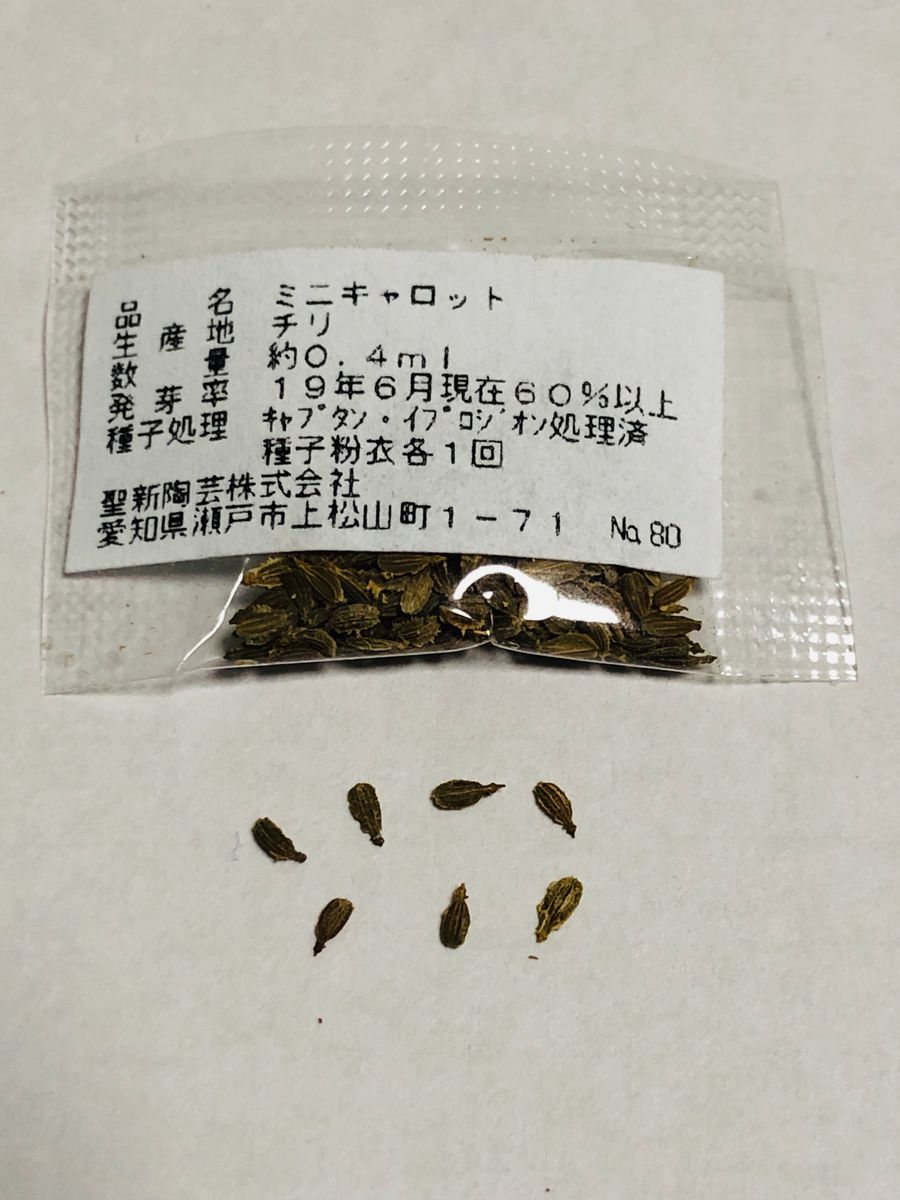 タイニィタイニィプラントにチャレンジ🎵 種を確認‼︎