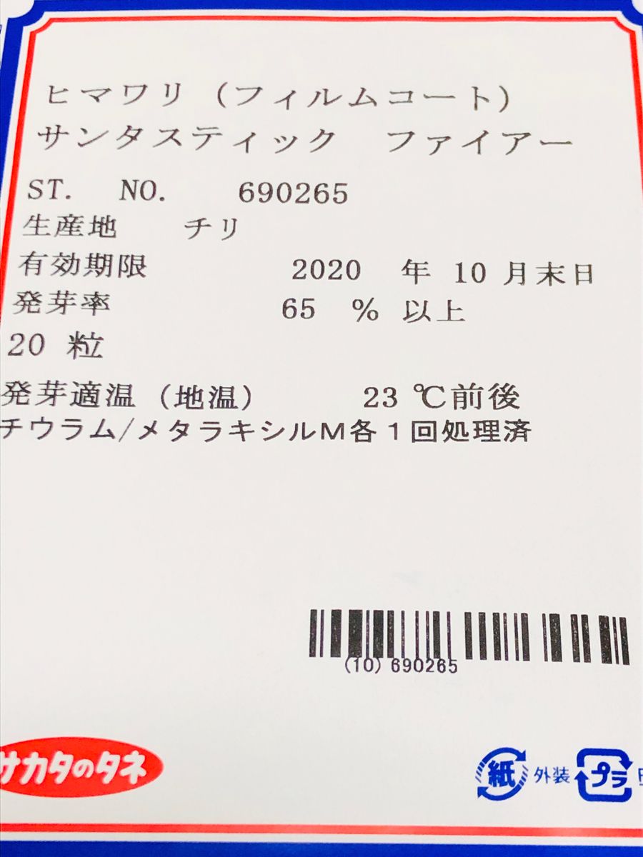 ヒマワリ・サンタスティック🌻 〜チャレンジ2020〜🎵