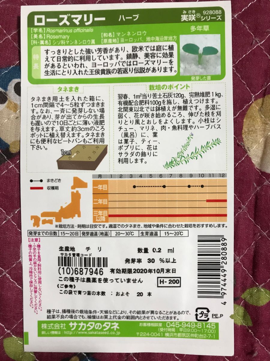 種から育てるローズマリー。初心者には無理かも😢 2020年1/9 種購入