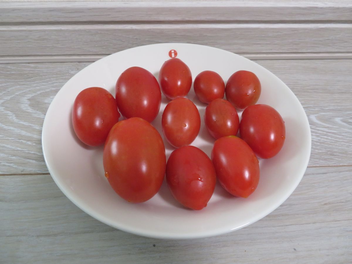 美味しいトマトの賢い育て方（２本仕立て、挿し芽） 確かにシュガープラムの糖度は高かった。
