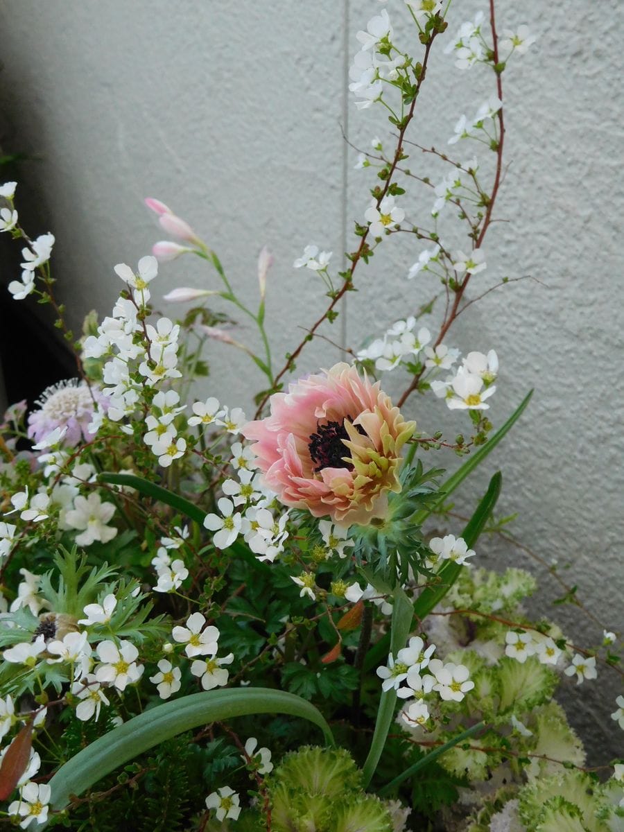 春の野に出でて 4月になりました