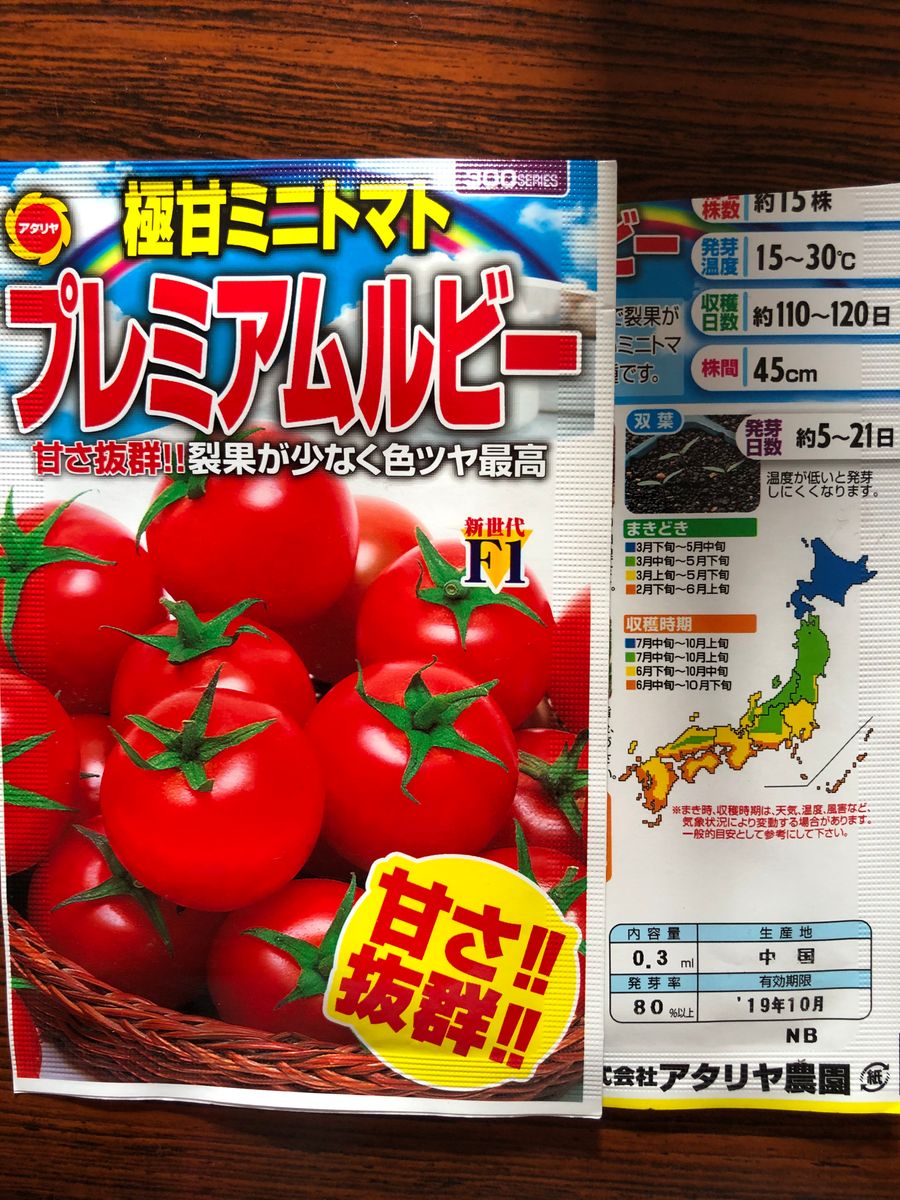 ミニトマトを種から育てます🍅