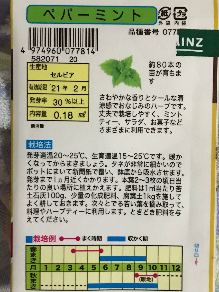 ペパーミントを種から育てる 2020年5/9 種まき