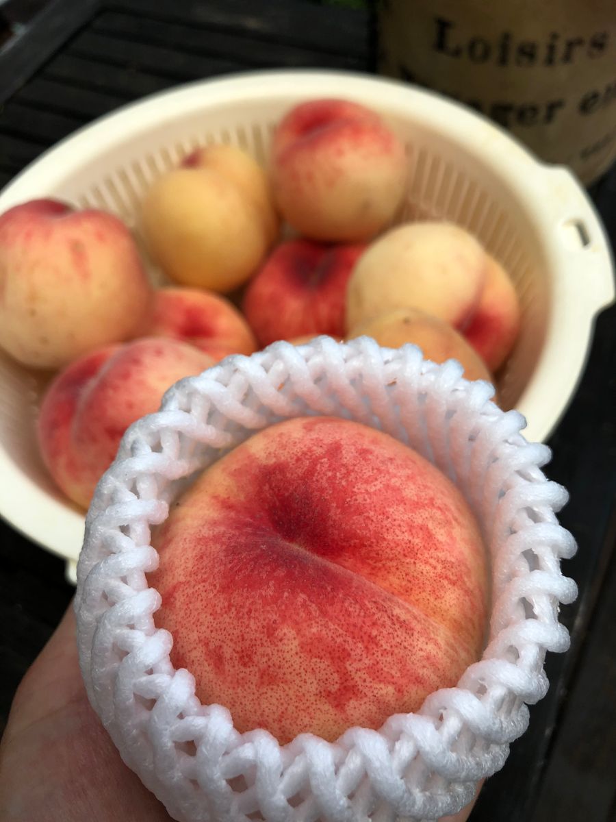 桃を育てよう！2020縮葉病からの復活の巻🍑 収穫ピーク❗️