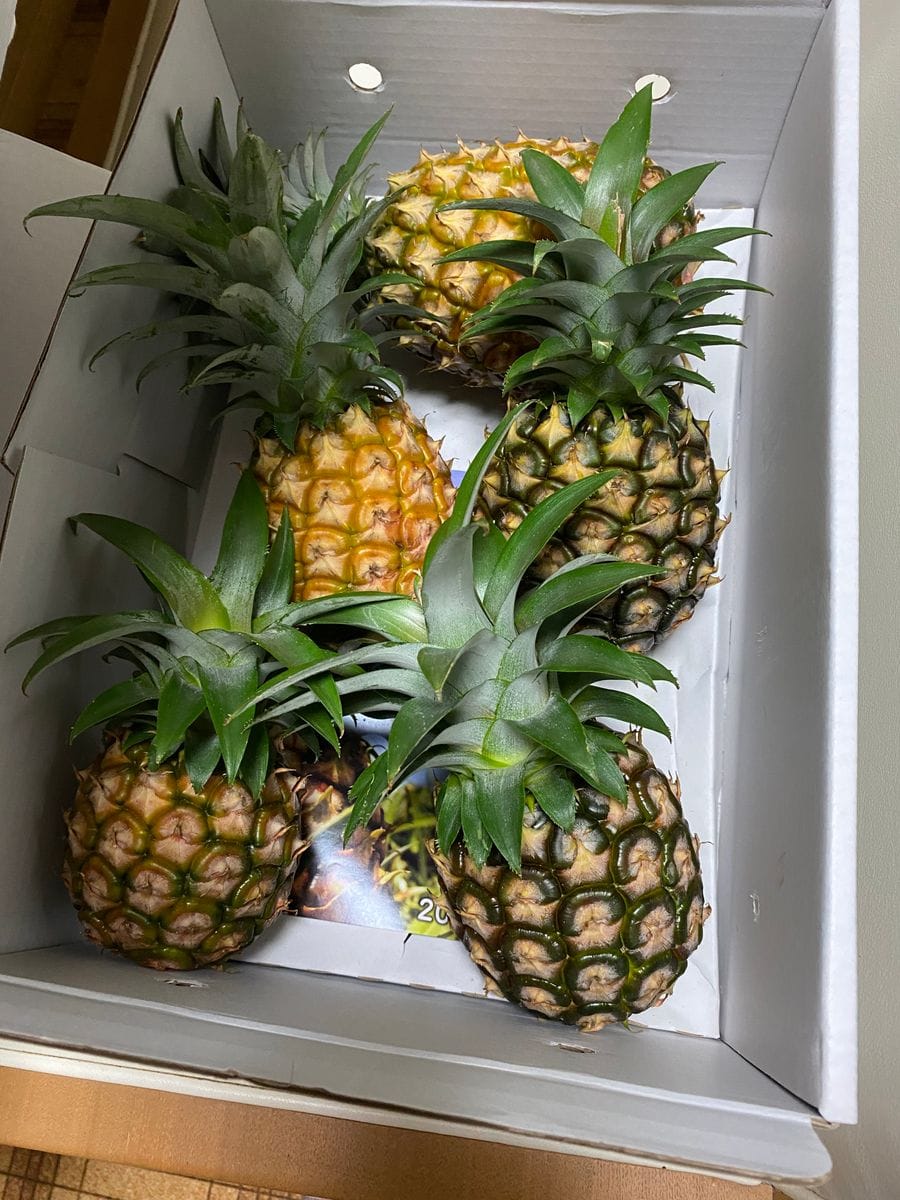 パイナップル🍍出来るかな🙄