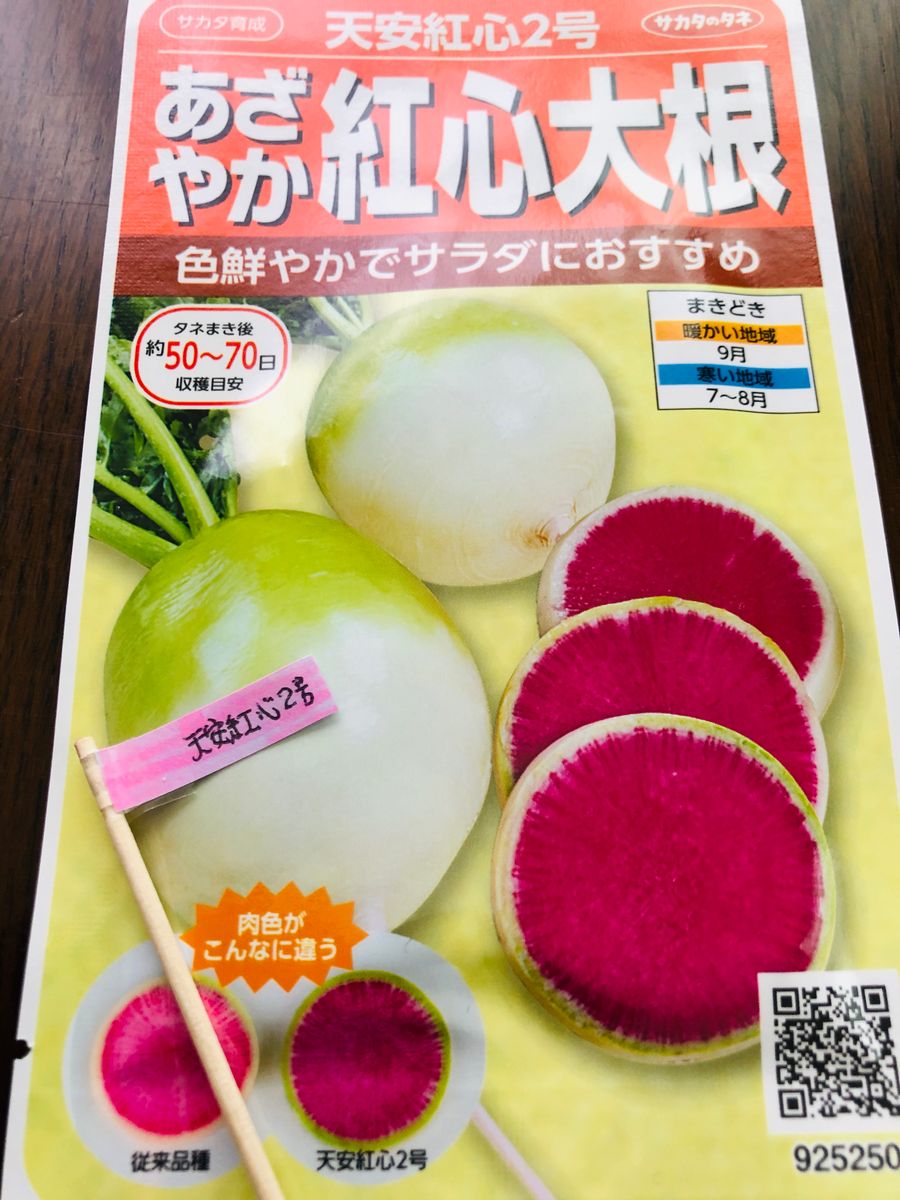 鮮やかダイコンで見た目も美味しい料理を作る🎵 種蒔き‼︎